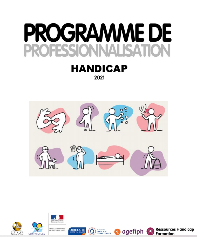 Capture d'écran de la page d'accueil du programme de professionnalisation des acteurs de l'emploi et de la formation sur le handicap 2021