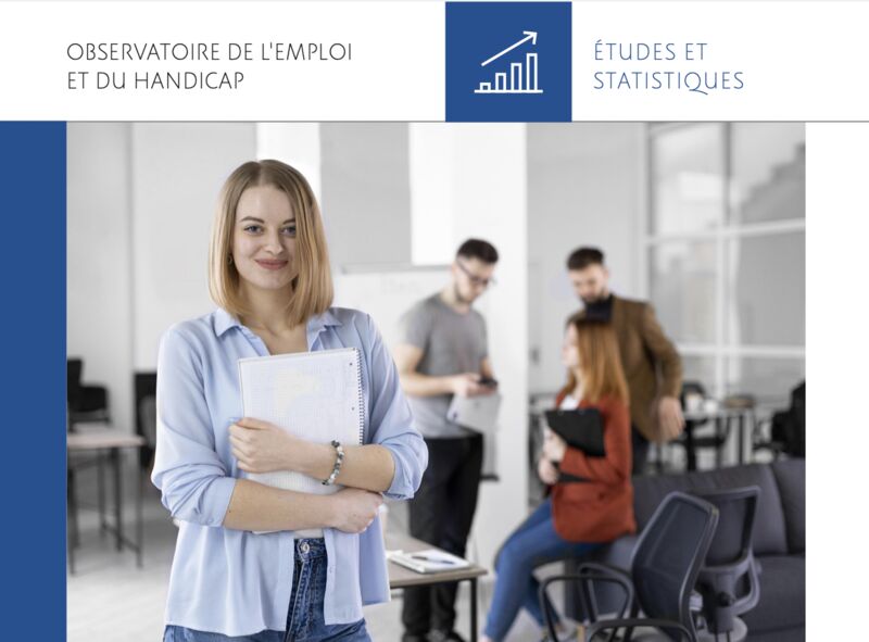 Capture d'écran - enquête emploi des jeunes en situation de handicap