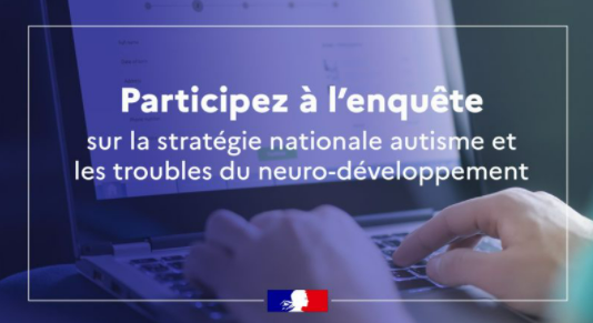 Capture d'écran de l'enquête autisme/TND